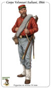 Soldatini on Line | Corpi Volontari 1866 Fante dei Corpi Volontari Italiani, 1866